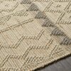 Livabliss Preston PTN-2301 Handmade Area Rug PTN2301-268